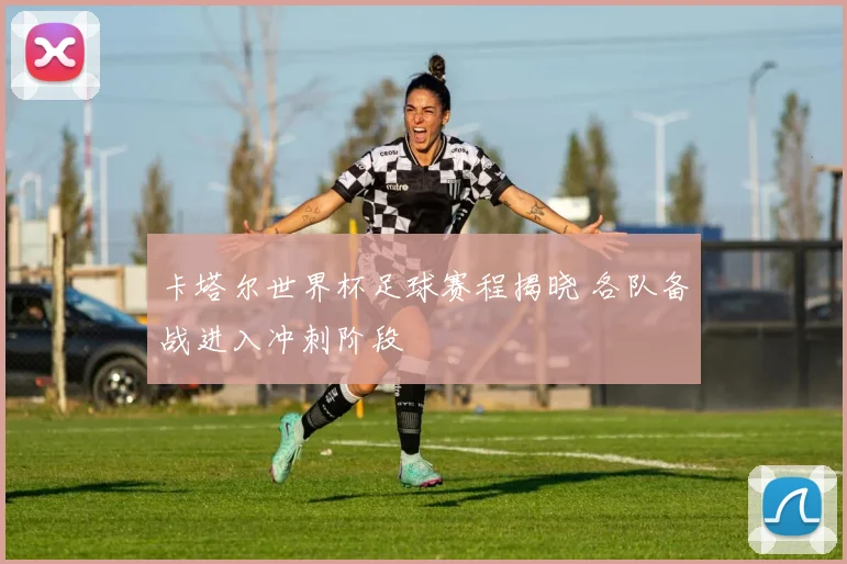 卡塔尔世界杯足球赛程揭晓 各队备战进入冲刺阶段